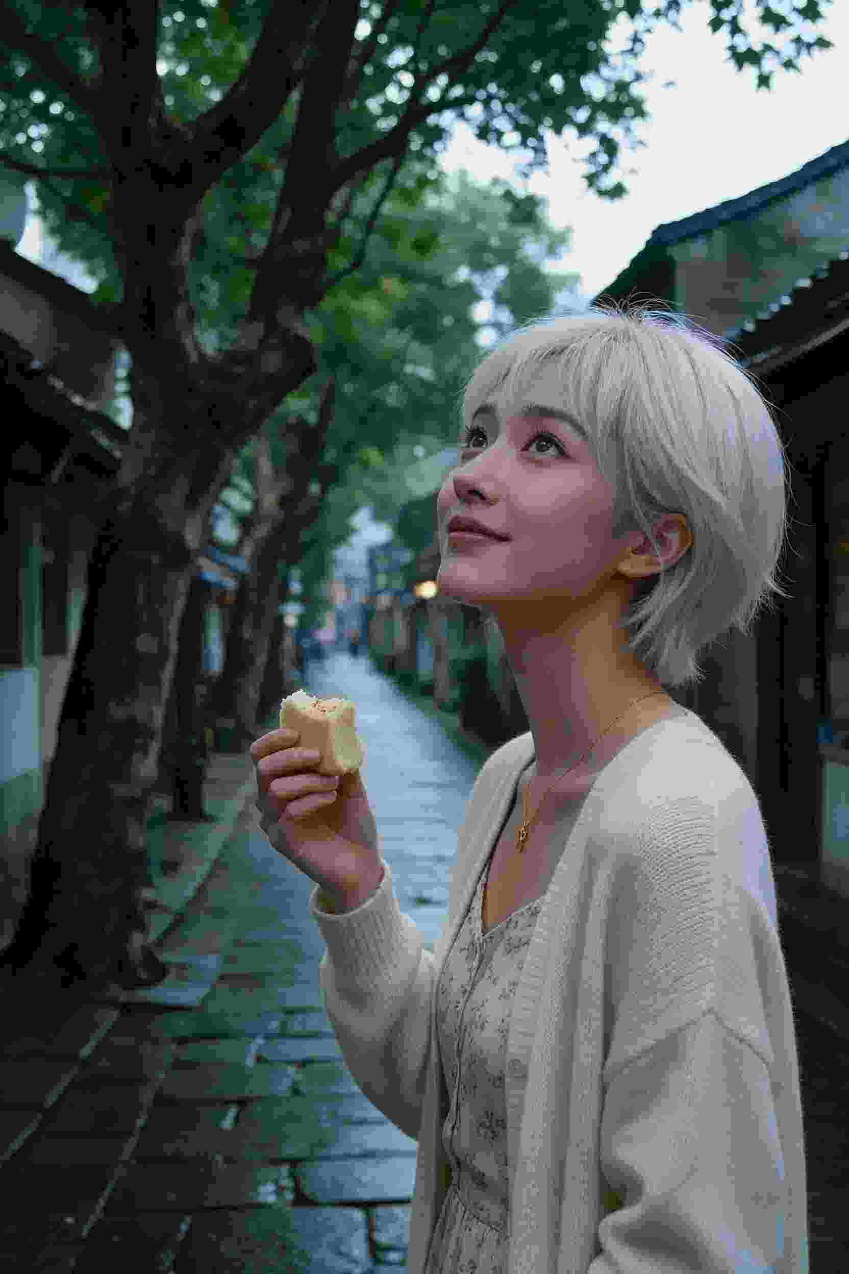 云梦天下